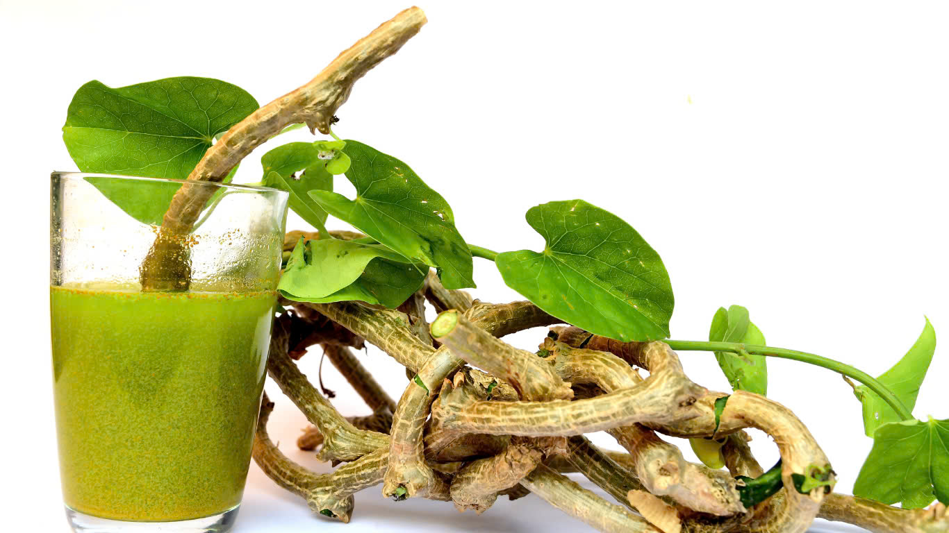 Dây đau xương - Cây thuốc quý trong chữa trị xương khớp