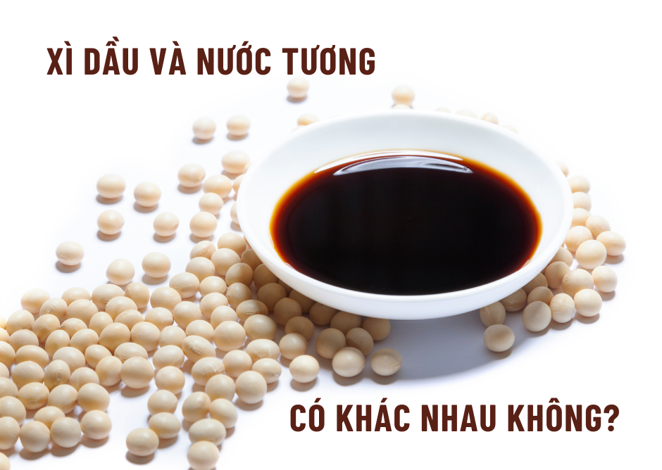 XÌ DẦU VÀ NƯỚC TƯƠNG CÓ GÌ KHÁC NHAU?