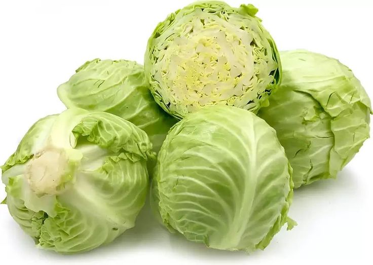 Người Bệnh Tuyến Giáp Có Ăn Được Bắp Cải Không? Lời Khuyên Từ Chuyên Gia
