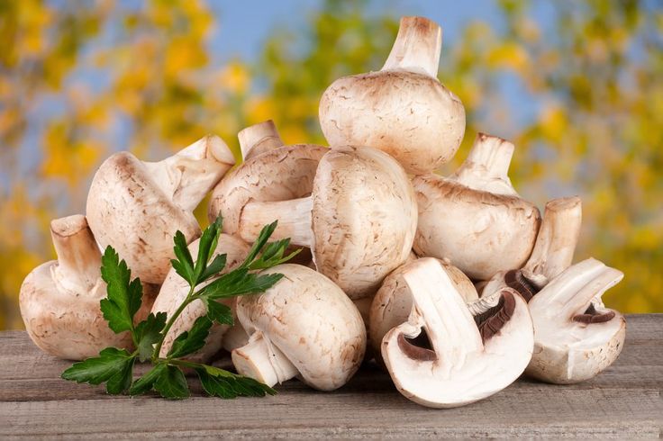 Nấm đông cô là nấm gì? Công dụng và cách sử dụng trong ẩm thực