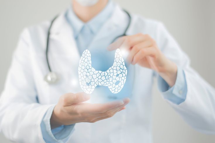 Tuyến Giáp Ở Đâu Trên Cơ Thể? Vị Trí Và Chức Năng Của Tuyến Giáp
