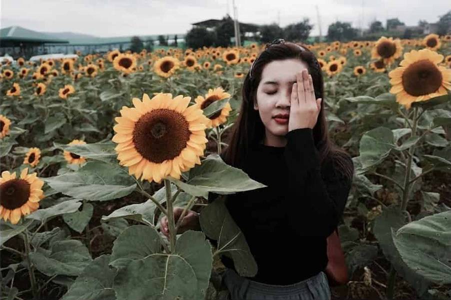 Kinh nghiệm du lịch Đà Lạt chi tiết A - Z năm 2025