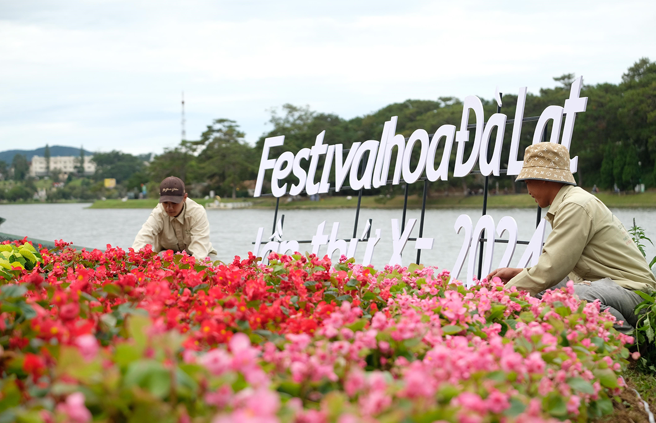 Khám phá 5 vườn hoa đẹp nhất Đà Lạt mùa hè