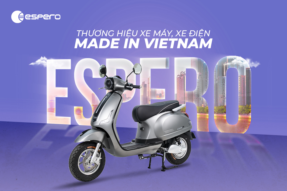 Tiêu chí lựa chọn xe đạp điện và các dòng xe máy điện phổ biến tại Việt Nam 2025