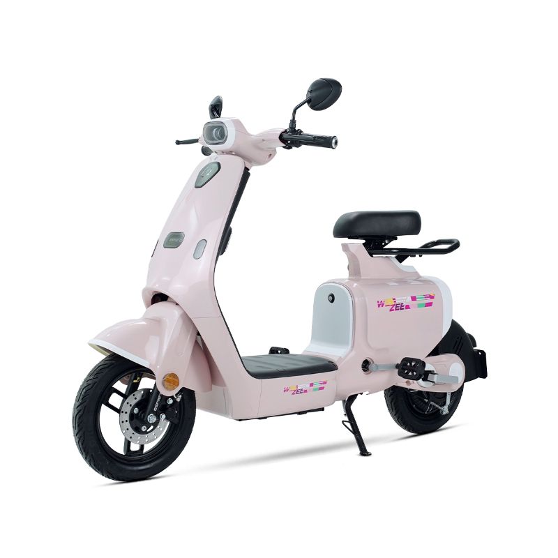 Xe đạp điện WEEZEE