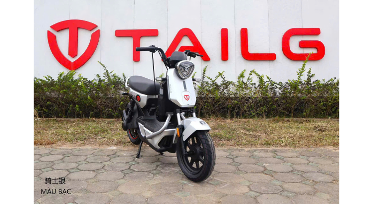 Xe đạp điện TAILG
