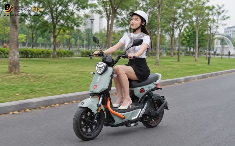 TAILG GX30 động cơ công suất 600W, ắc quy Lithium 48V - 22.3Ah