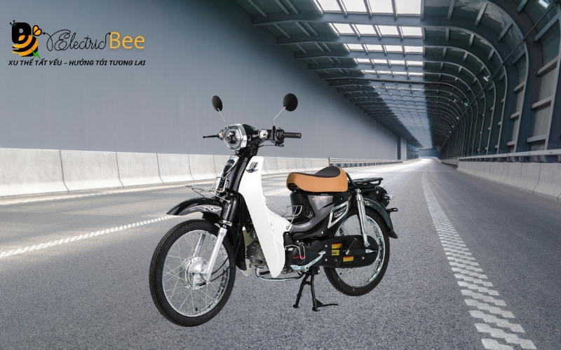 Xe cub 81 Espero Plus 2