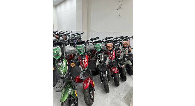 XE ĐẠP ĐIỆN M133