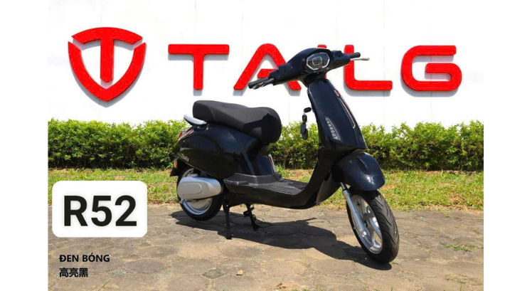 XE MÁY ĐIỆN TAILG R52