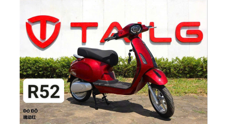 XE MÁY ĐIỆN TAILG R52