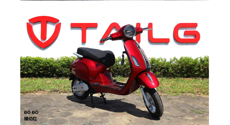 XE MÁY ĐIỆN TAILG R51