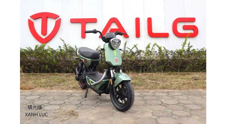 XE ĐIỆN TAILG GX30