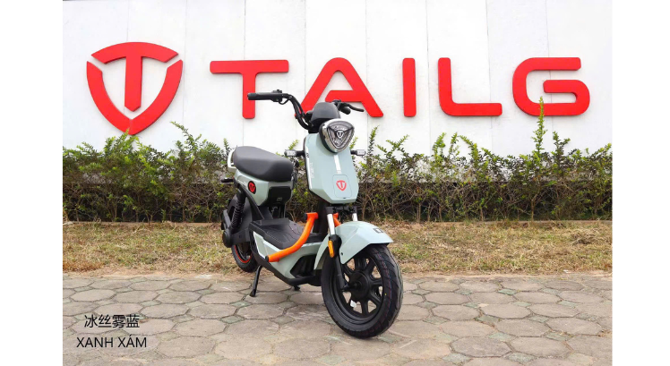 XE ĐIỆN TAILG GX30