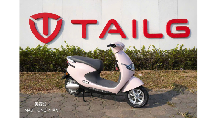 XE MÁY ĐIỆN TAILG R53