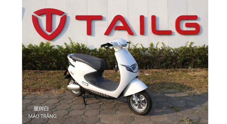 XE MÁY ĐIỆN TAILG R53