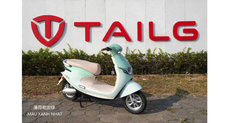 XE MÁY ĐIỆN TAILG R53