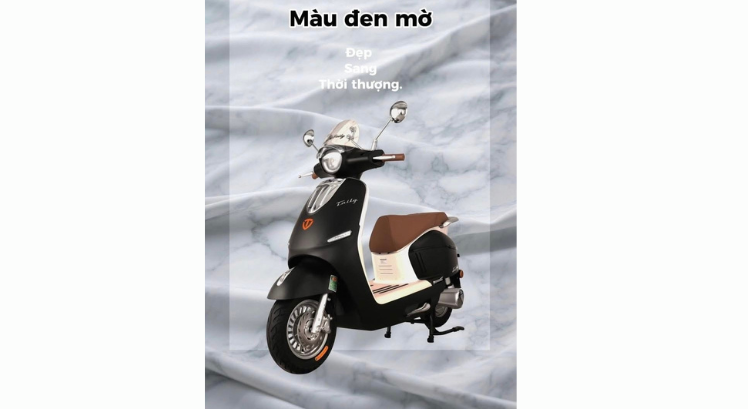 XE MÁY ĐIỆN TAILG R71