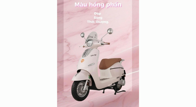 XE MÁY ĐIỆN TAILG R71