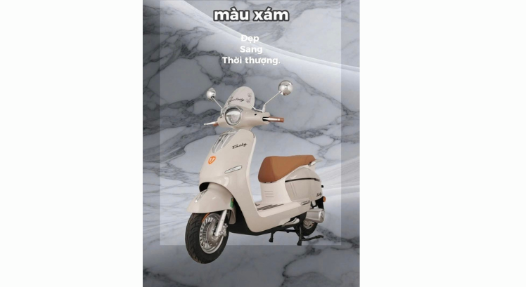 XE MÁY ĐIỆN TAILG R71