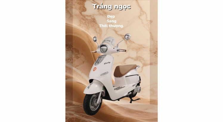 XE MÁY ĐIỆN TAILG R71