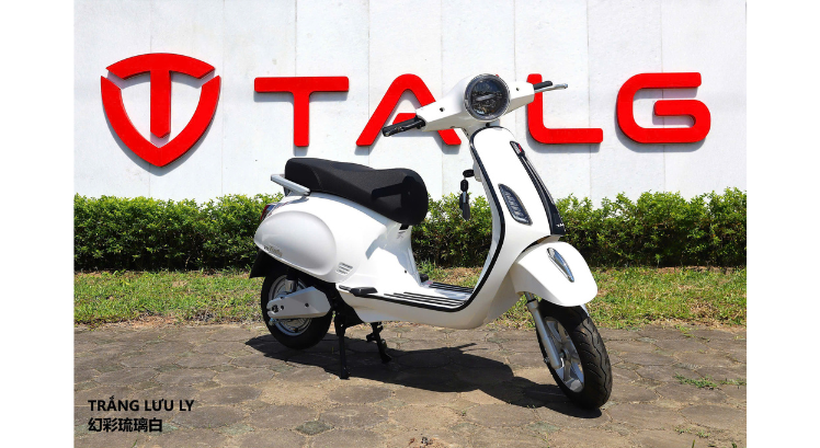 XE MÁY ĐIỆN TAILG R51