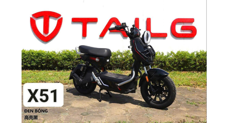 XE ĐIỆN TAILG X51