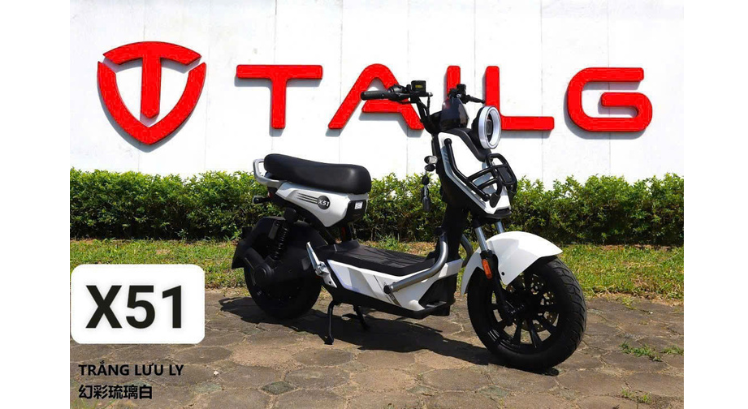 XE ĐIỆN TAILG X51