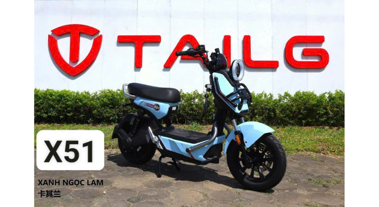 XE ĐIỆN TAILG X51