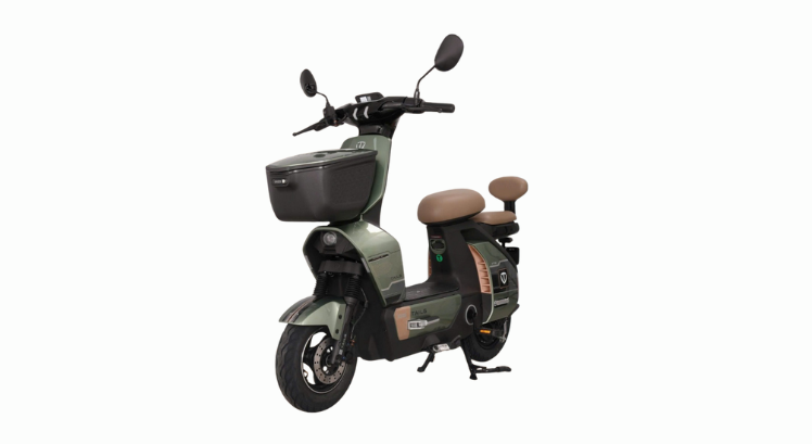 XE ĐIỆN TAILG WUKONG GT50