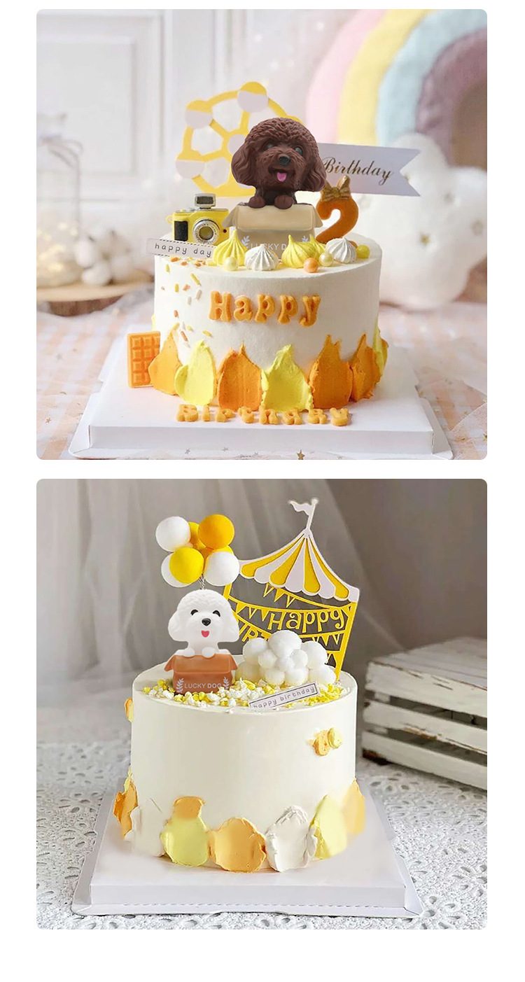 [5] Chó Lucky/ Trắng