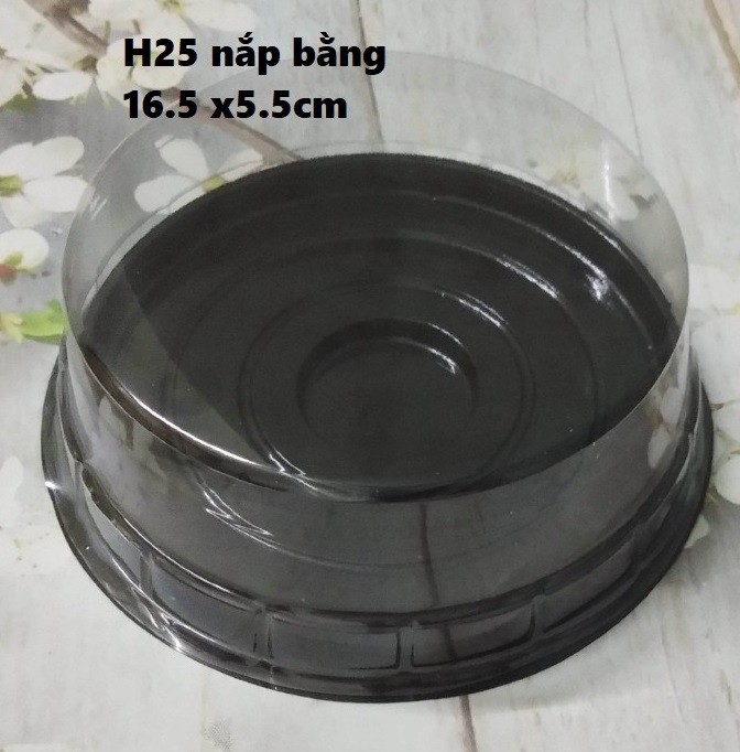 Hộp H25 nắp bằng/ 100c