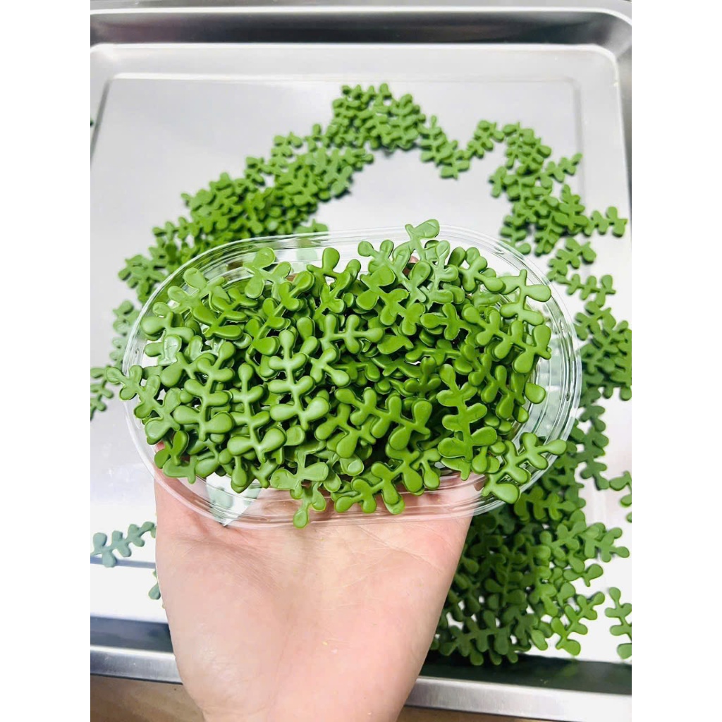 Kẹo Gum Hoa Cúc, Lá Thanh Hương Mini Trang Trí Bánh Kem