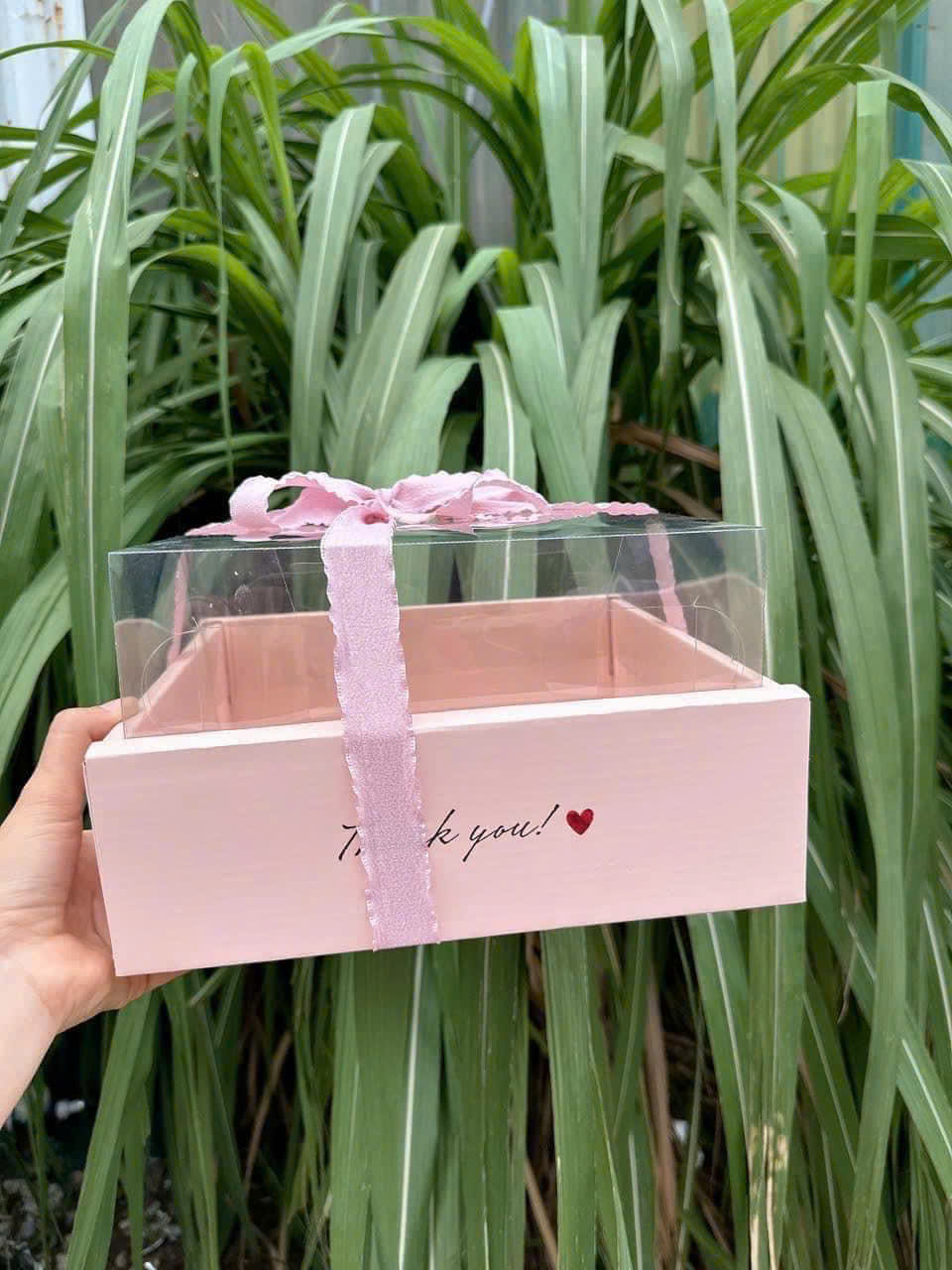 Hộp đựng hoa quả kèm túi/ Hồng