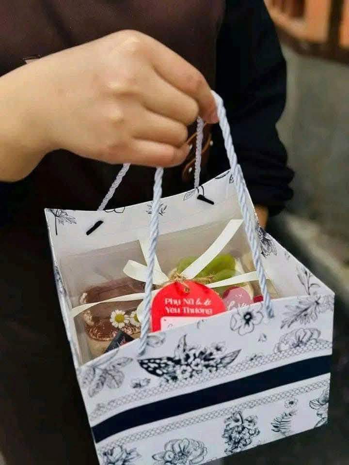 Túi đựng hộp 4 ngăn