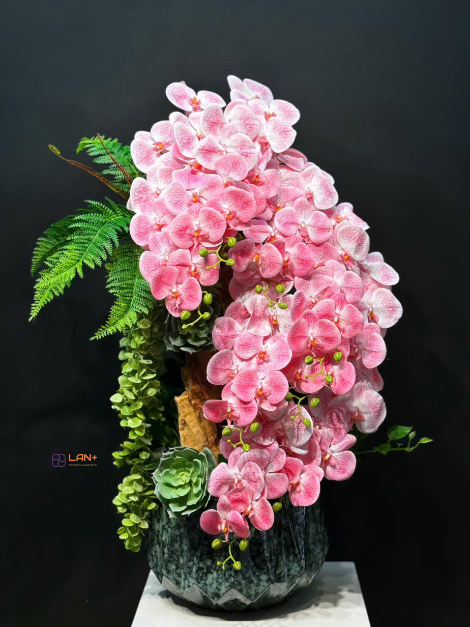 CHẬU TIỂU CẢNH 9 CÀNH LAN GIẢ