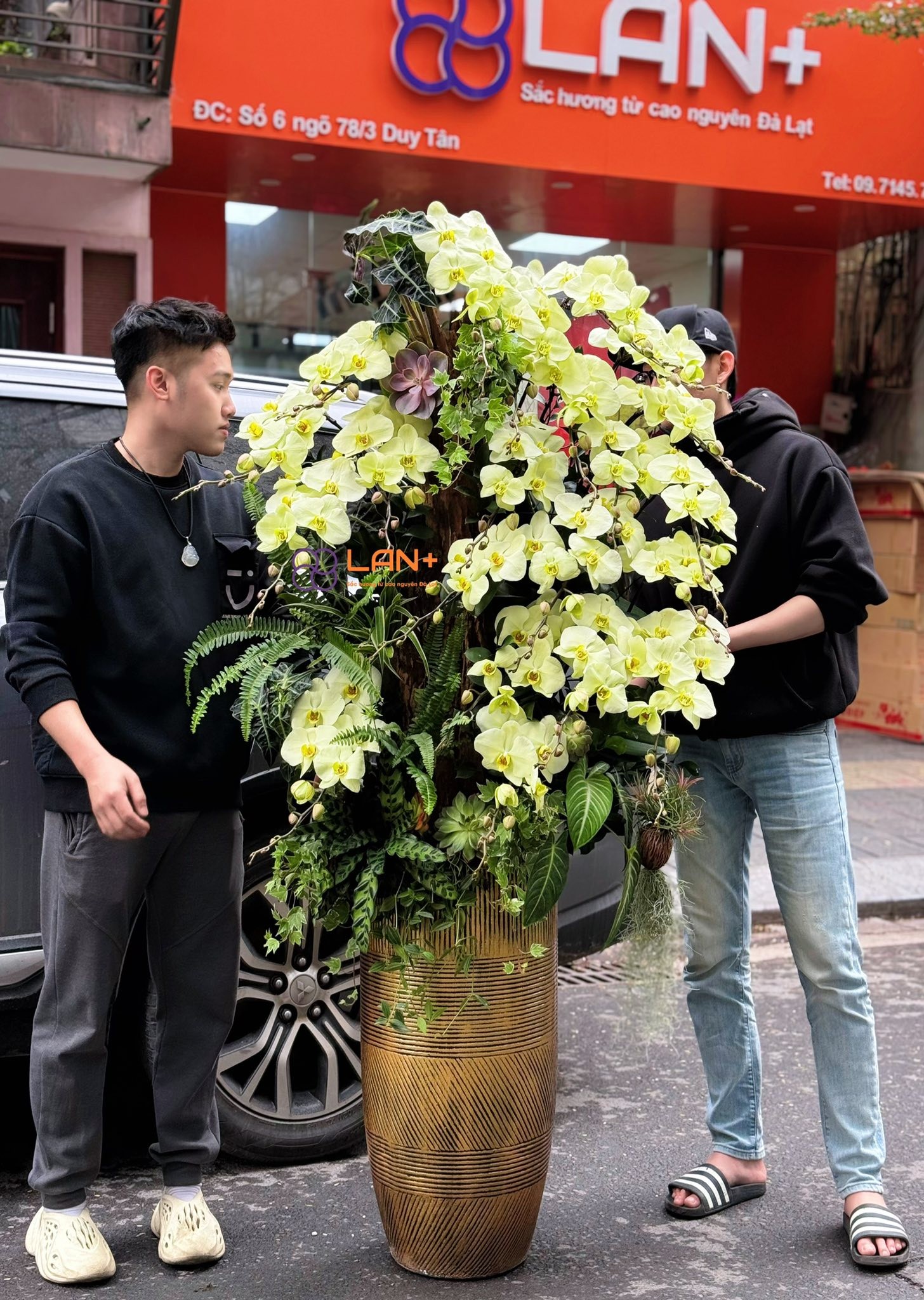 CHẬU TIỂU CẢNH 20 CÀNH
