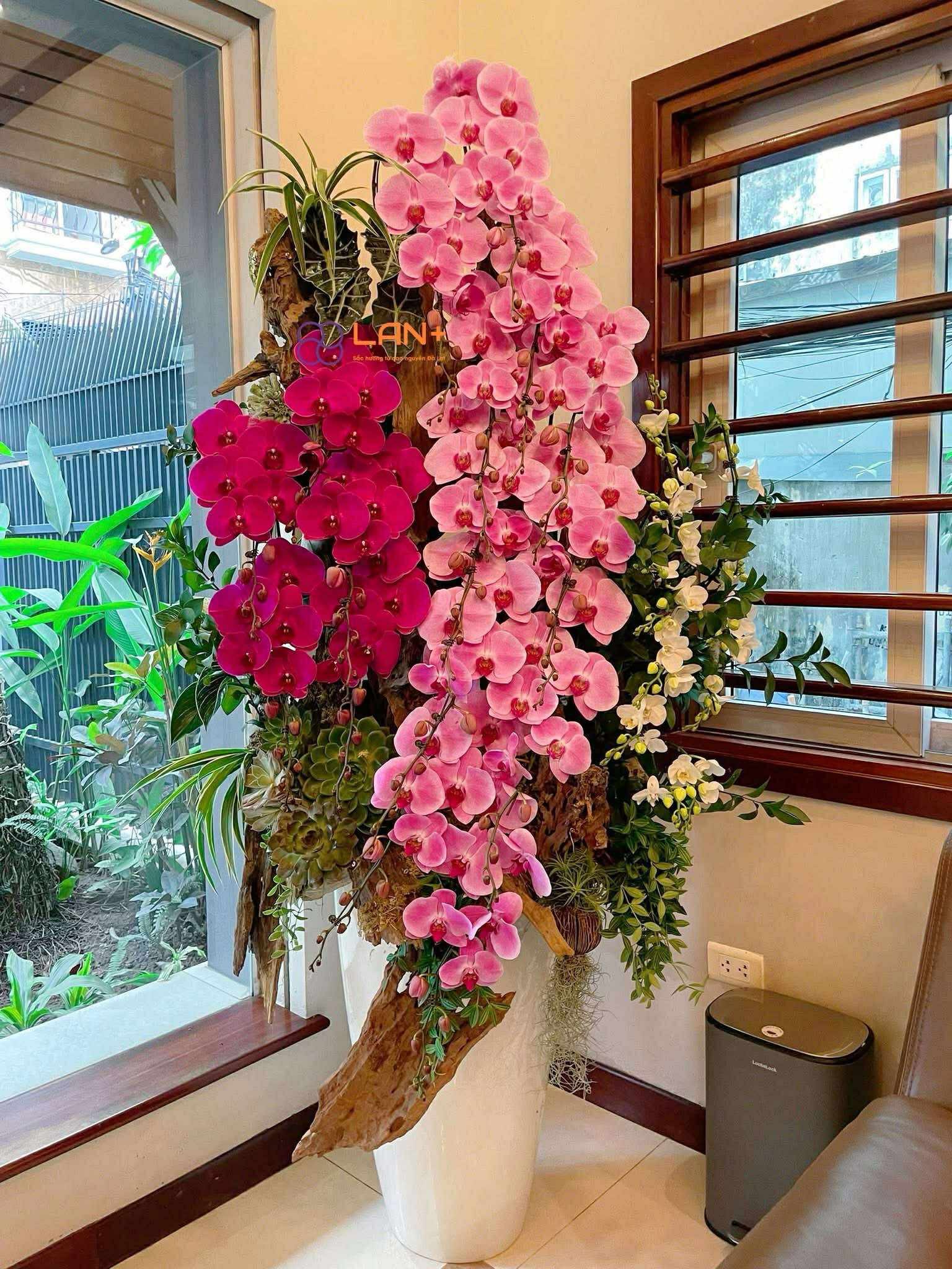 CHẬU TIỂU CẢNH MIX HOA