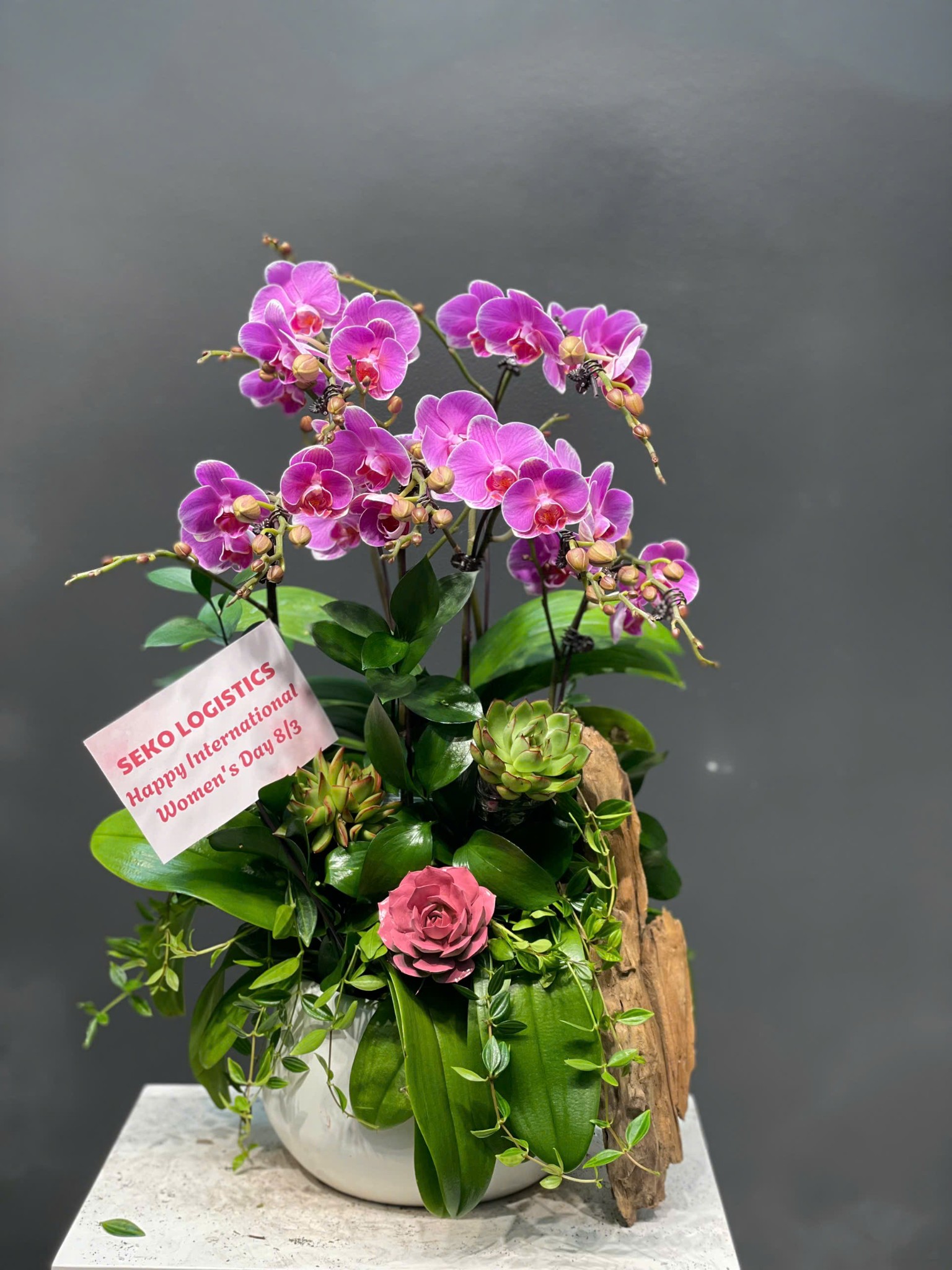 CHẬU TIỂU CẢNH 6 CÀNH LAN MINI