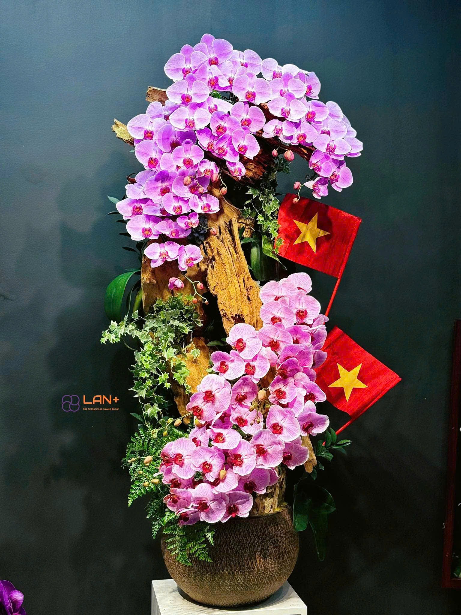 CHẬU TIỂU CẢNH 13 CÀNH