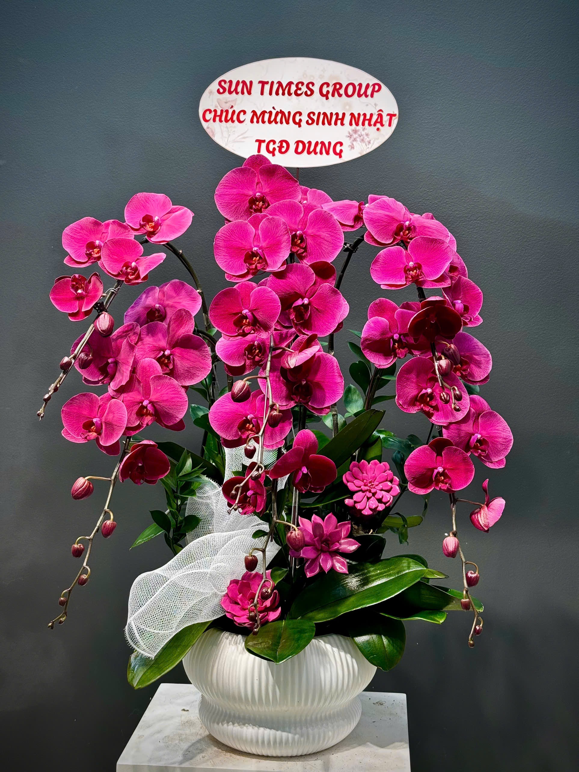 CHẬU 6 CÀNH LAN ĐẠI
