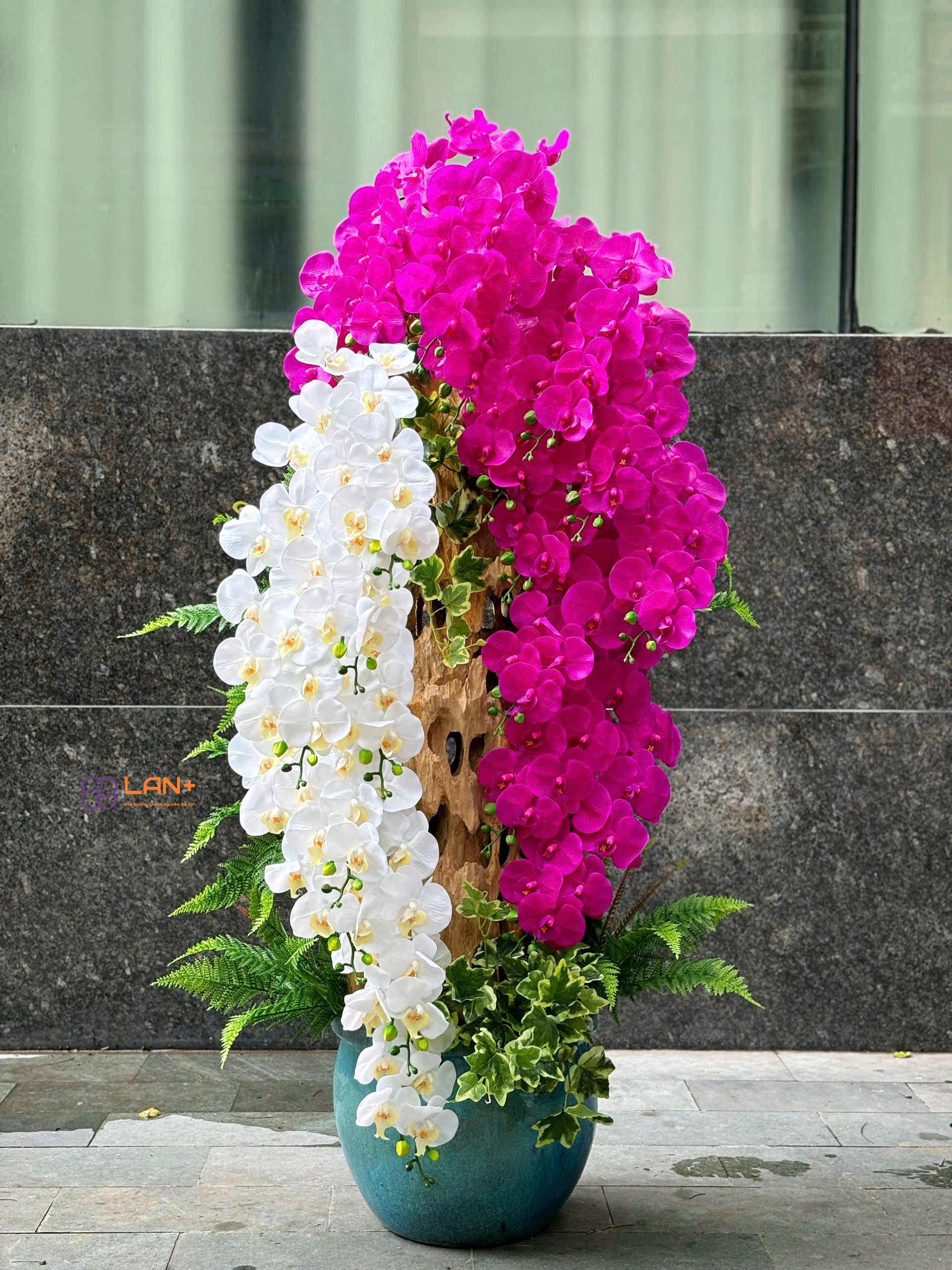 CHẬU TIỂU CẢNH 20 CÀNH LAN GIẢ TRẮNG MIX TÍM