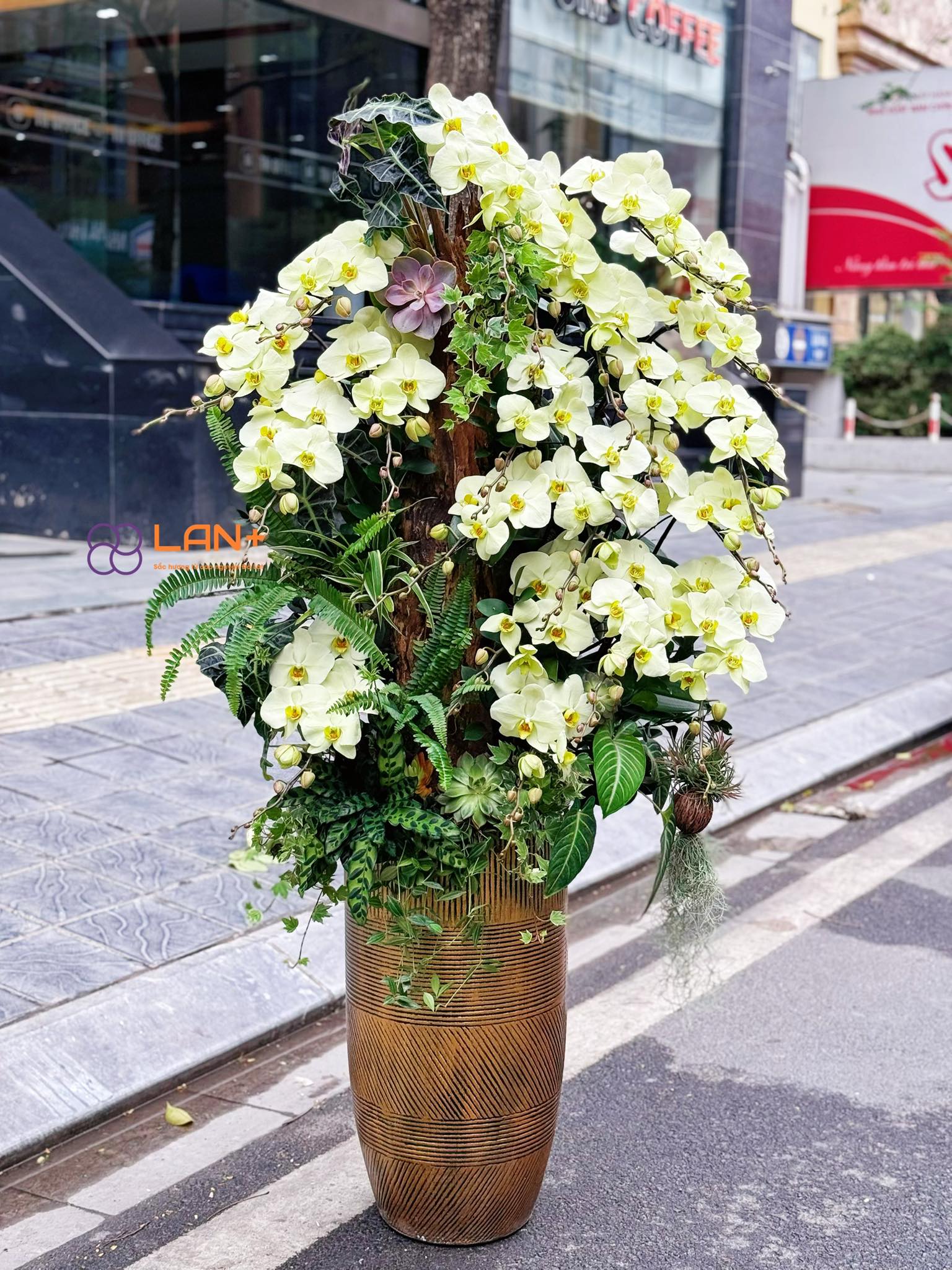 CHẬU TIỂU CẢNH 20 CÀNH