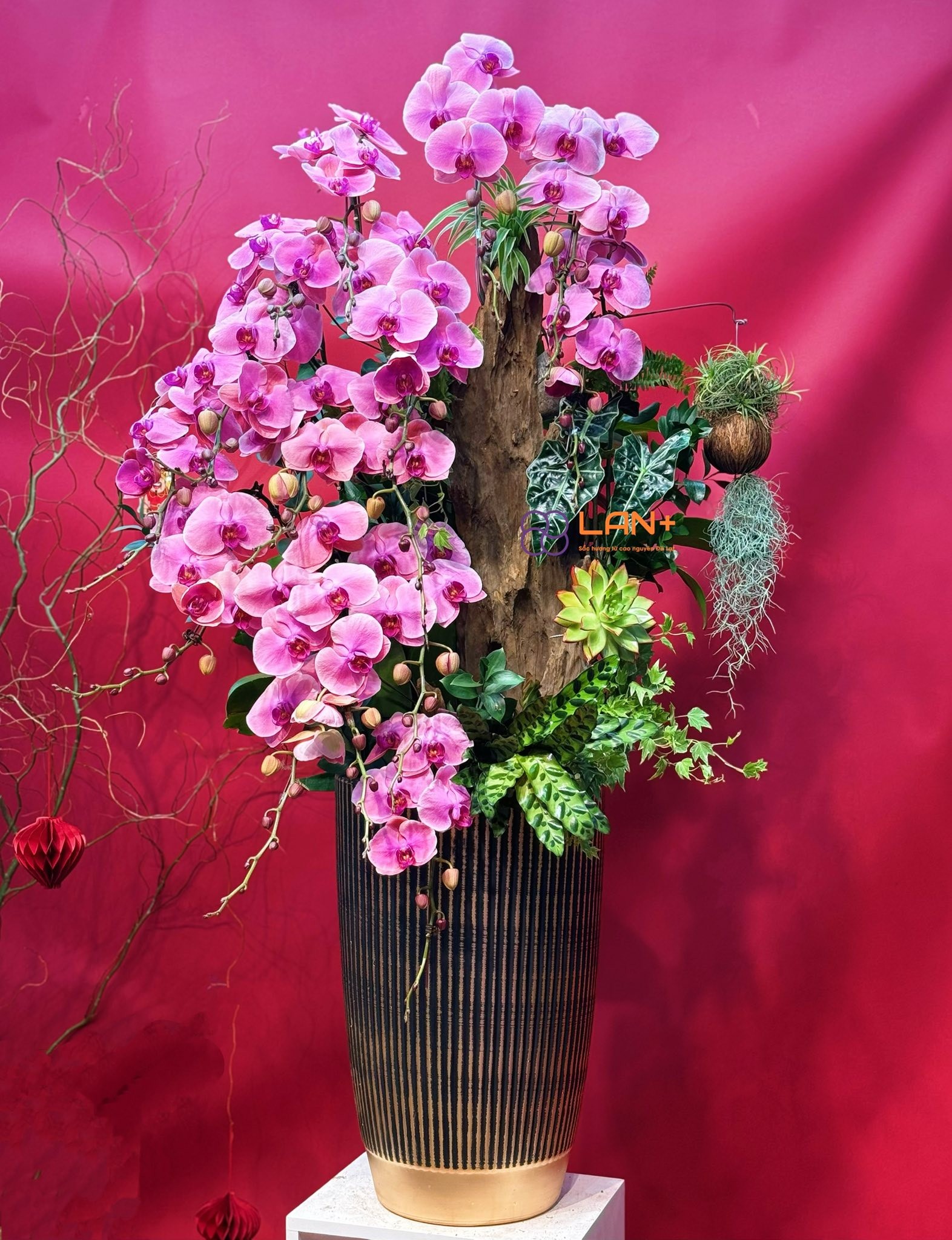 CHẬU TIỂU CẢNH 15 CÀNH