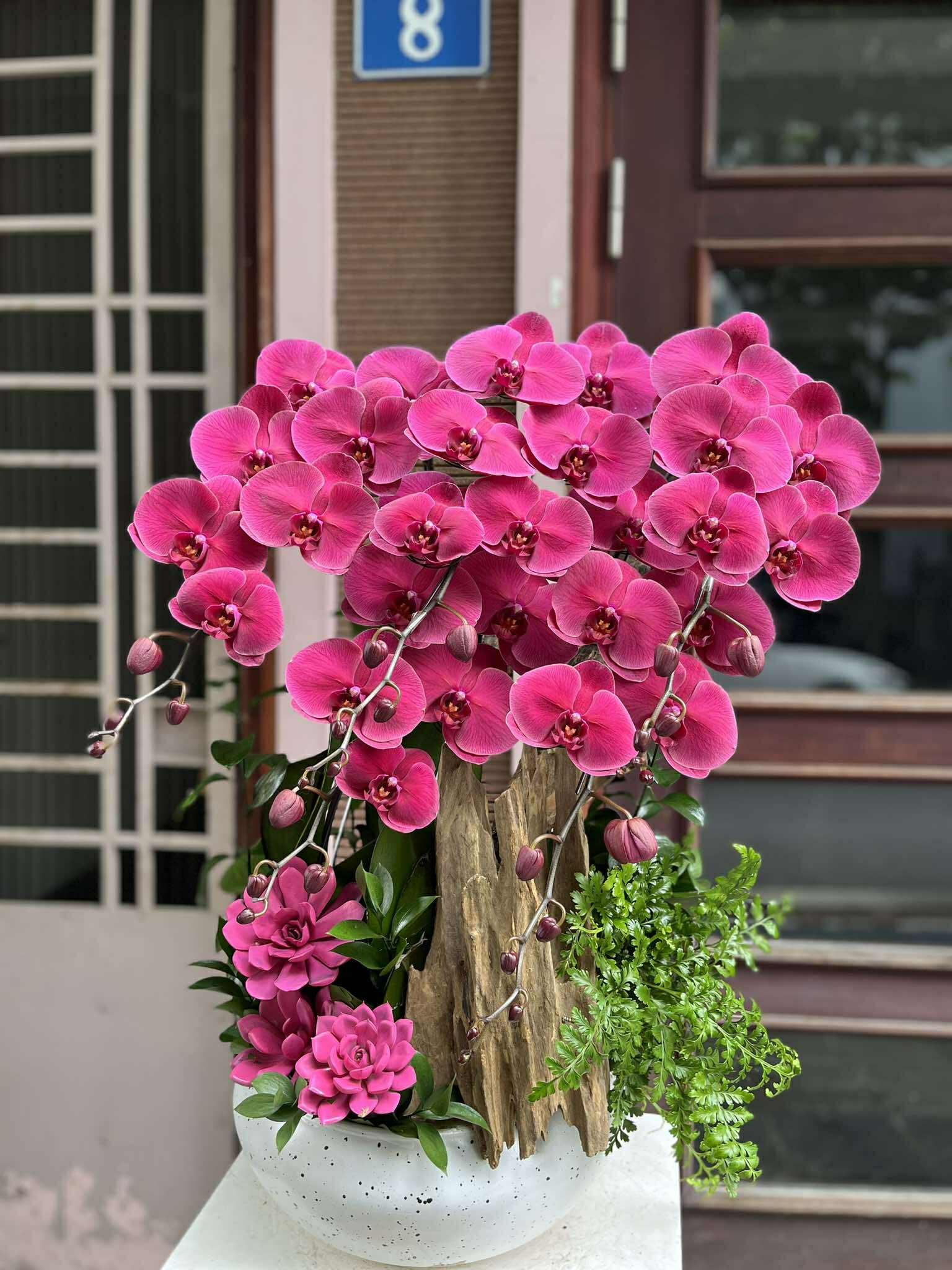CHẬU TIỂU CẢNH 5 CÀNH