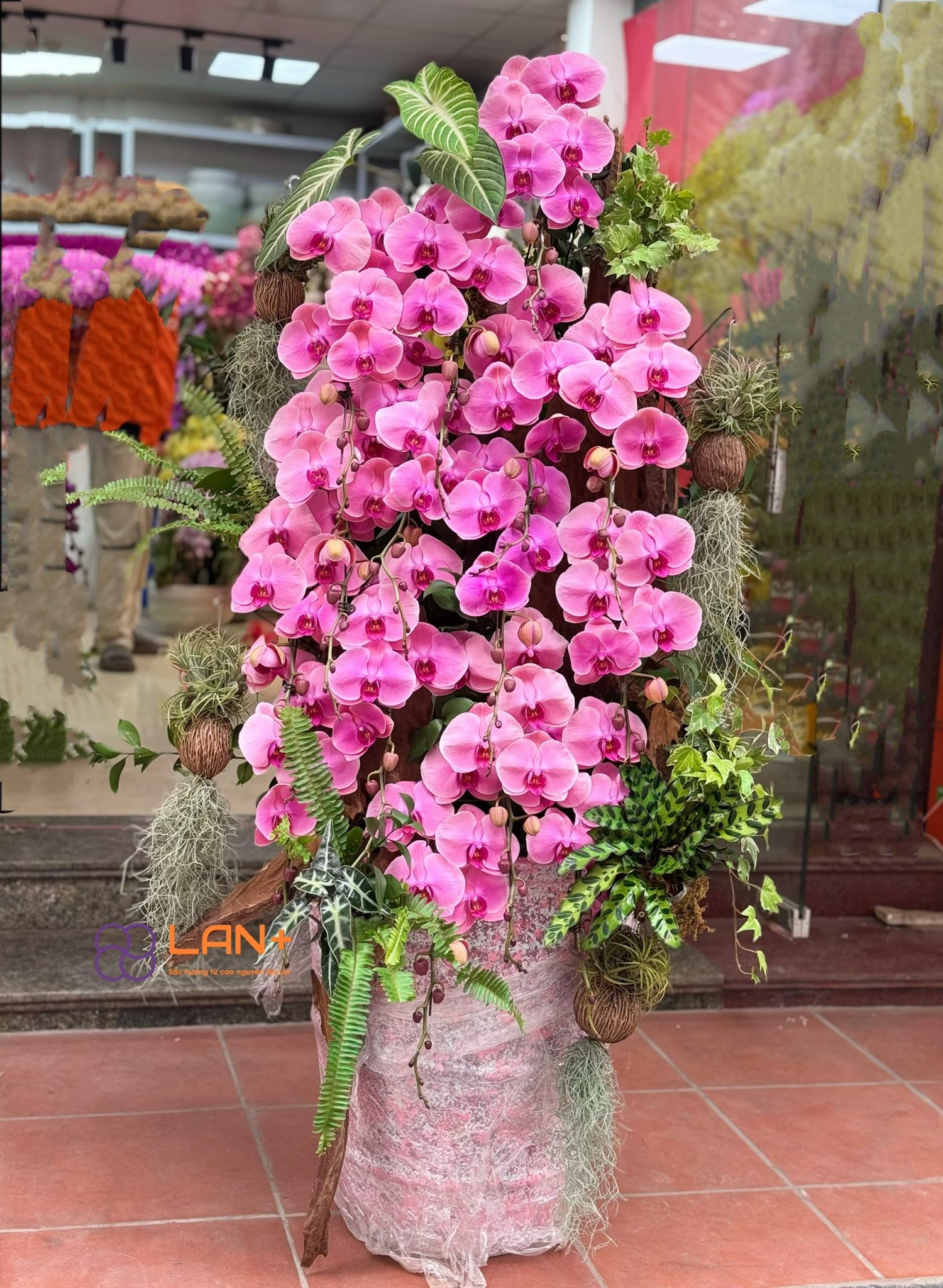 CHẬU TIỂU CẢNH 15 CÀNH