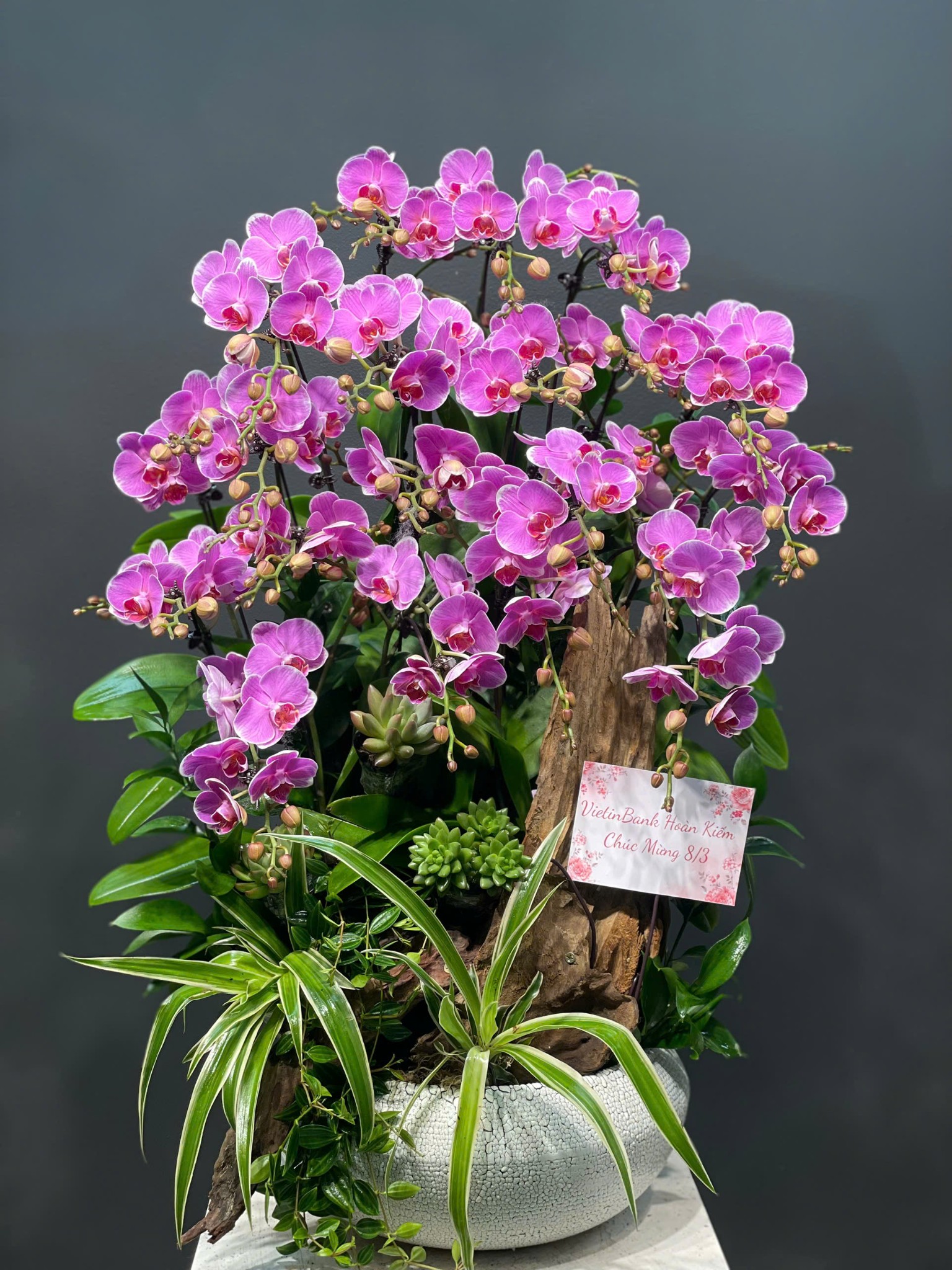 CHẬU TIỂU CẢNH 20 CÀNH MINI