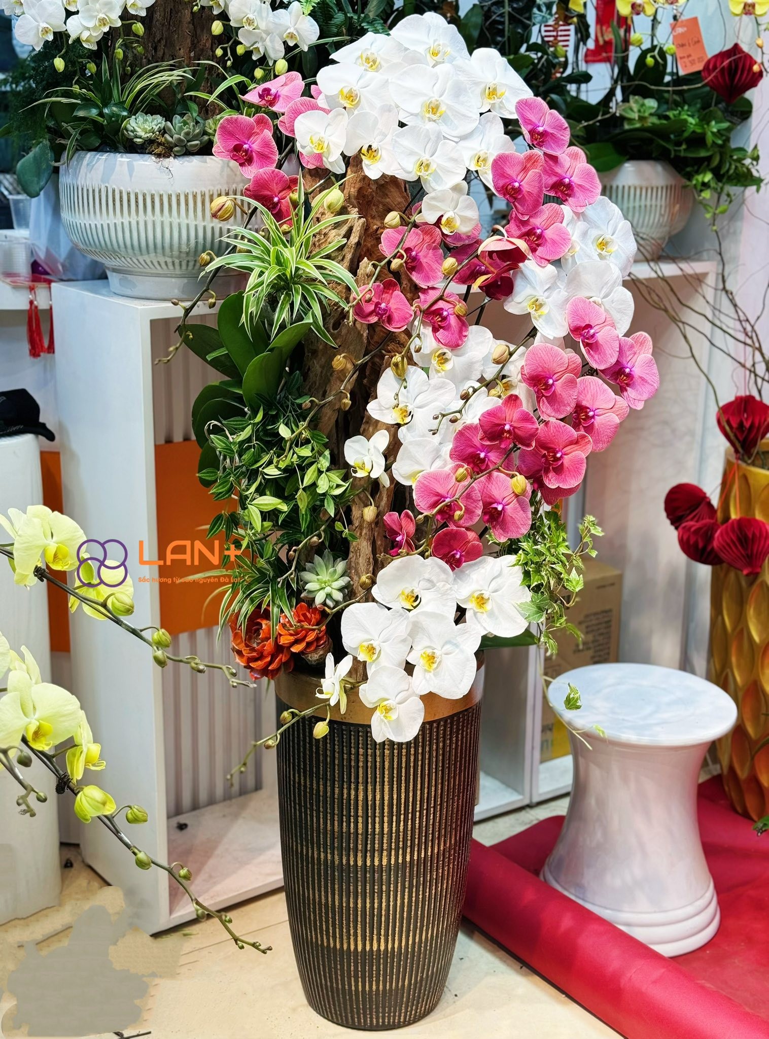 CHẬU TIỂU CẢNH 8 CÀNH