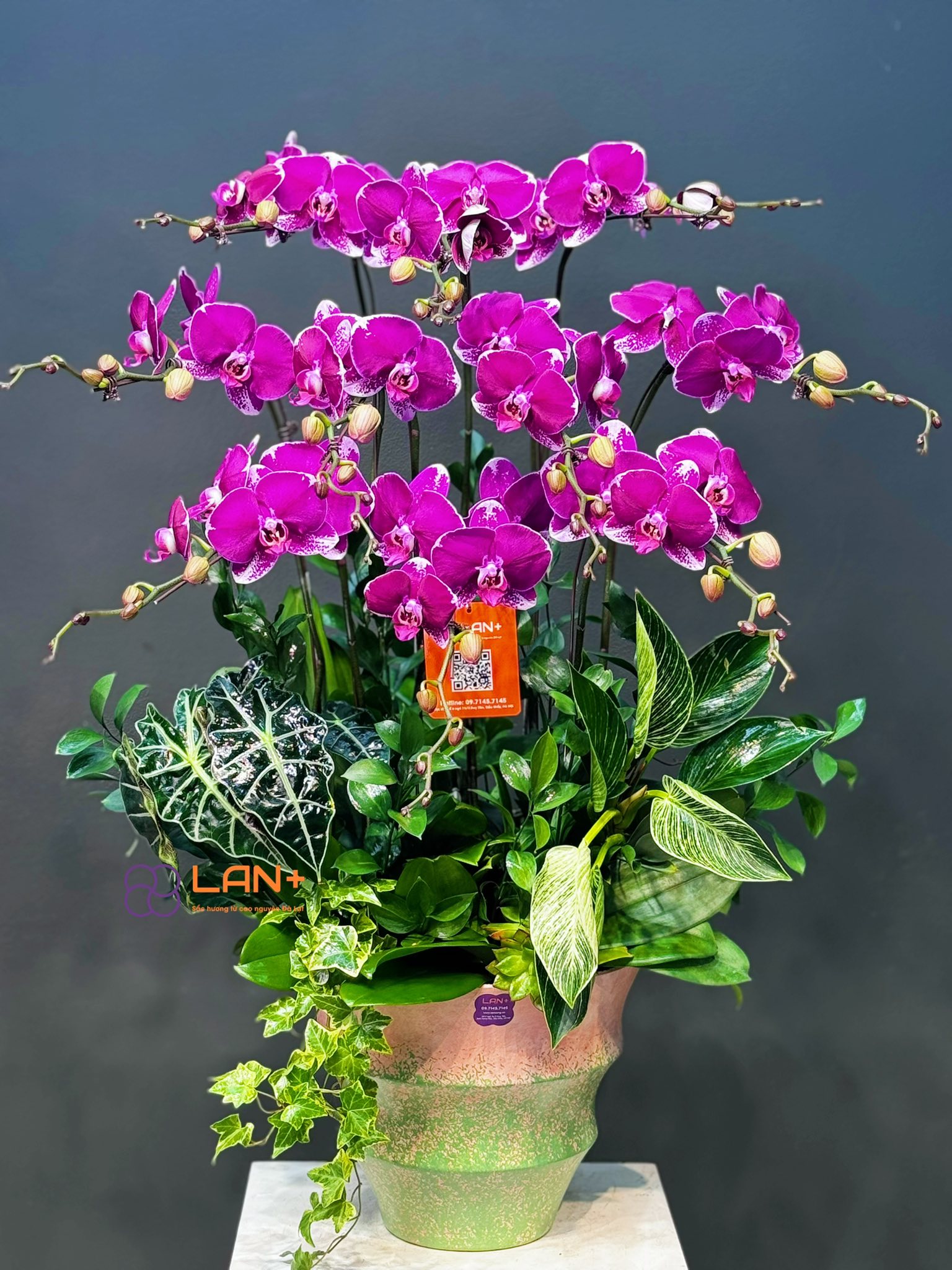 CHẬU 10 CÀNH TÍM