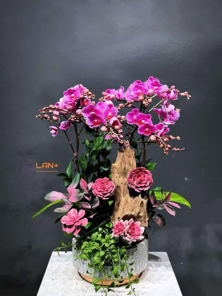 CHẬU TIỂU CẢNH 4 CÀNH TRẮNG MINI